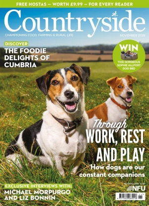 Countryside November 2019