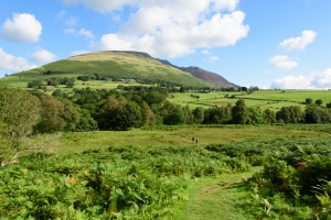 Photo courtesy of Andy Gibson @ ARG Photography