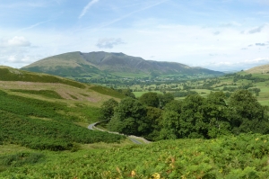 Photo courtesy of Andy Gibson @ ARG Photography